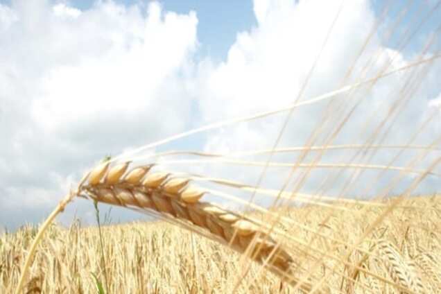 Китайська сутичка і боротьба за лояльність. Що чекає нового главу ДПЗКУ?