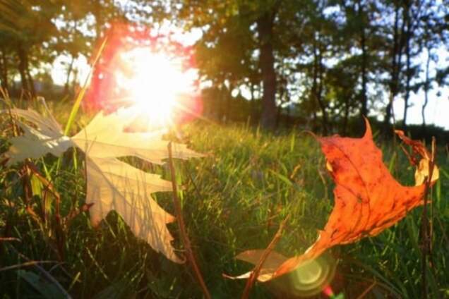 Осень устроит украинцам настоящие летние выходные: прогноз погоды