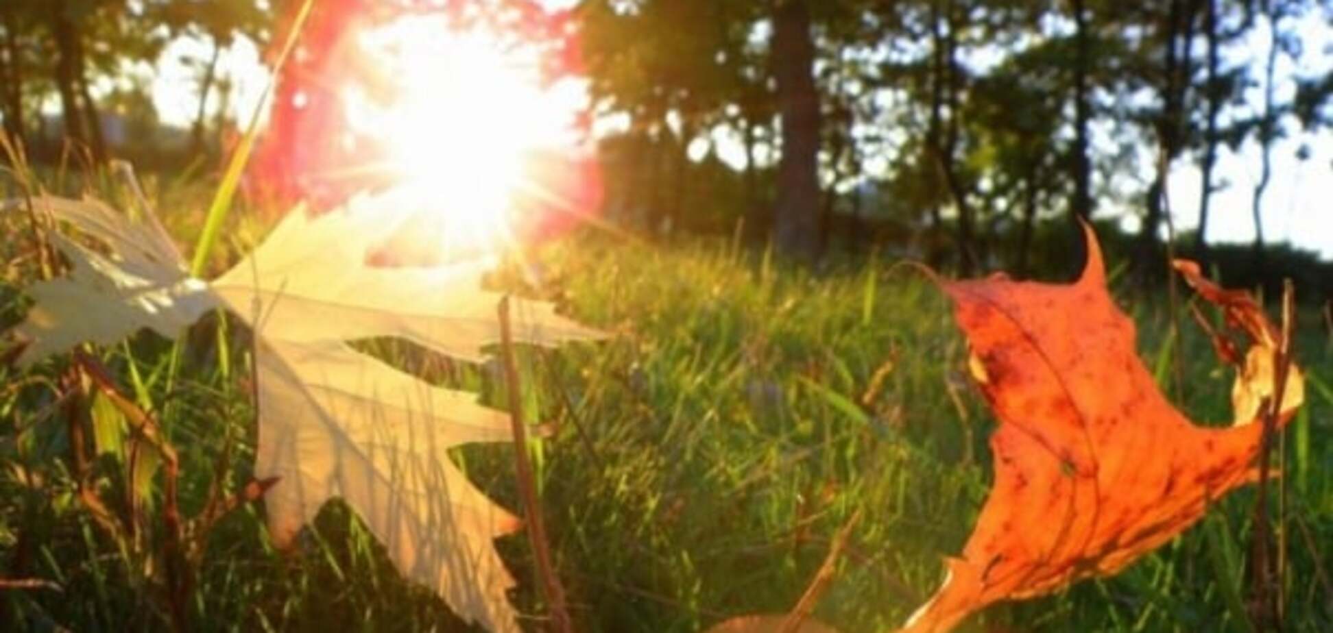 Осень устроит украинцам настоящие летние выходные: прогноз погоды