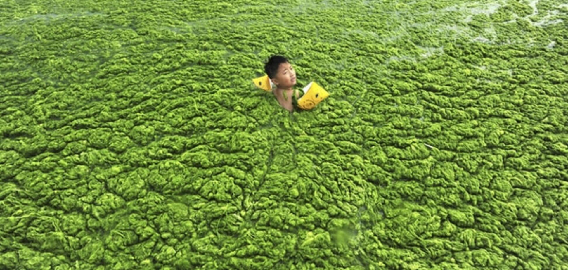 25 преступлений человека против природы: душераздирающие фото