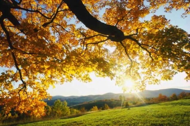 Жара не покинет Украину до конца сентября: прогноз погоды