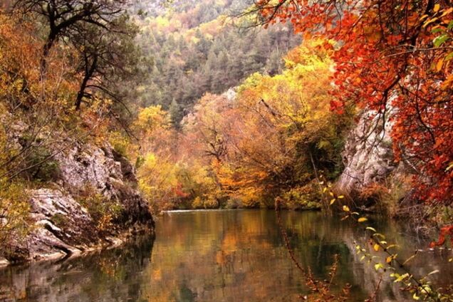 23 волшебных фото, показывающие все краски осени в Украине
