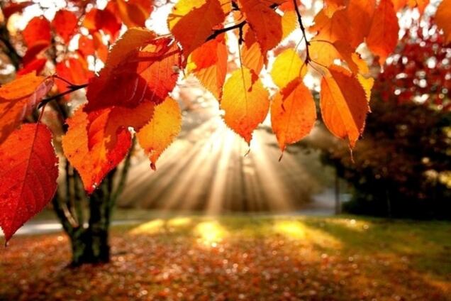 Горячая осень. Суббота принесет украинцам 32-градусную жару