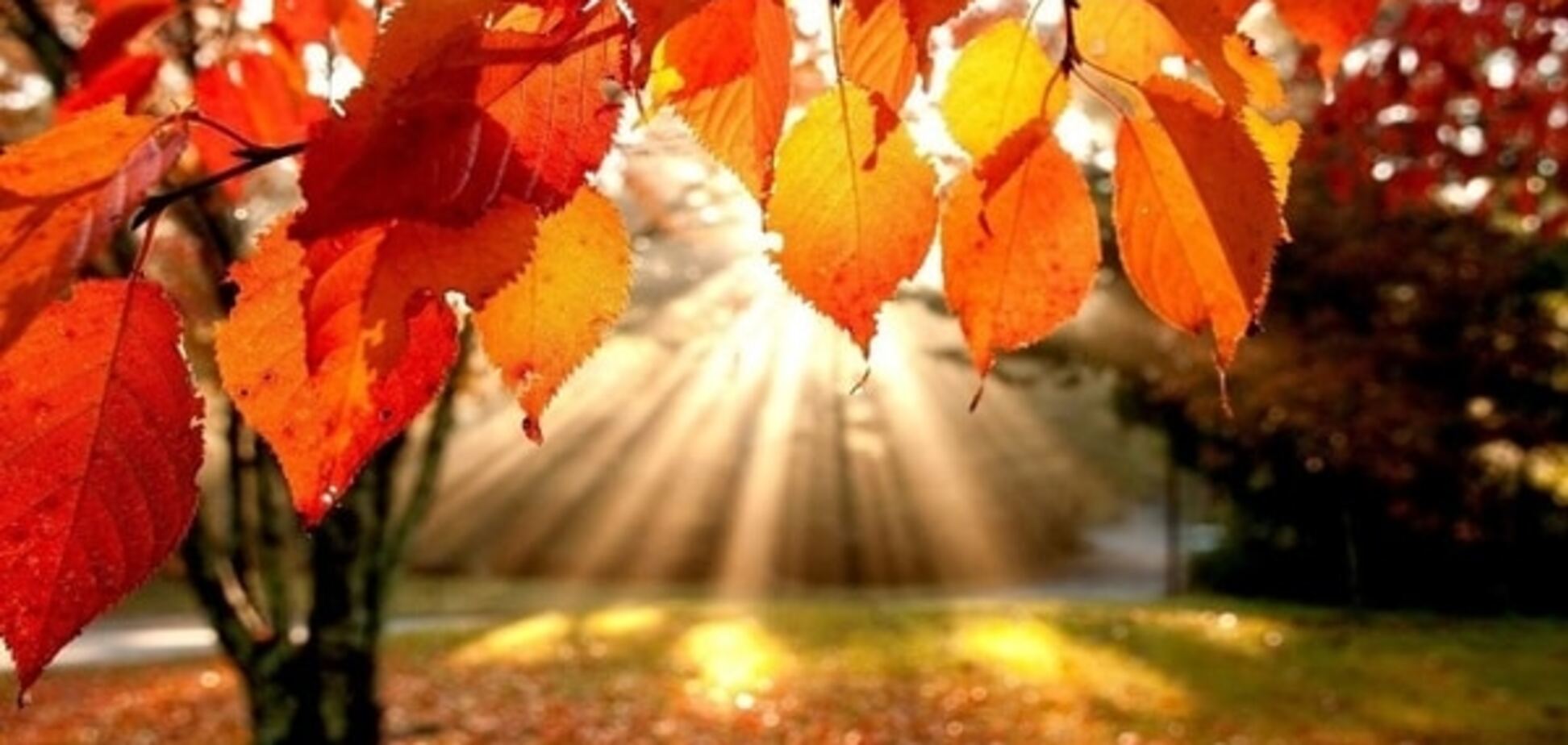 Горячая осень. Суббота принесет украинцам 32-градусную жару