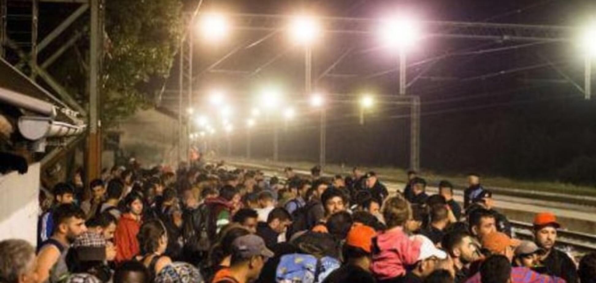 В Словении беженцев разгоняли слезоточивым газом: опубликованы фото