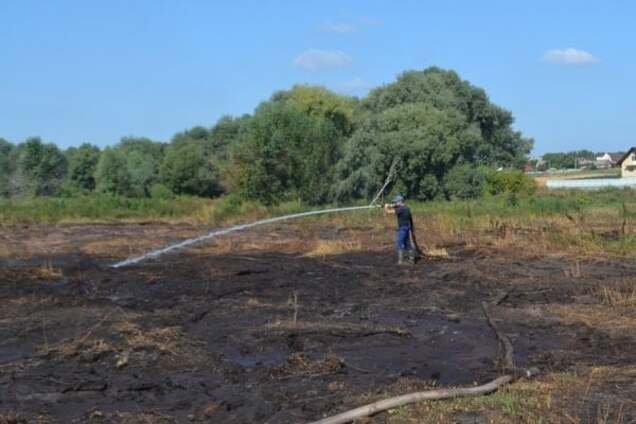 Киевлянам посоветовали ограничить прогулки из-за дыма