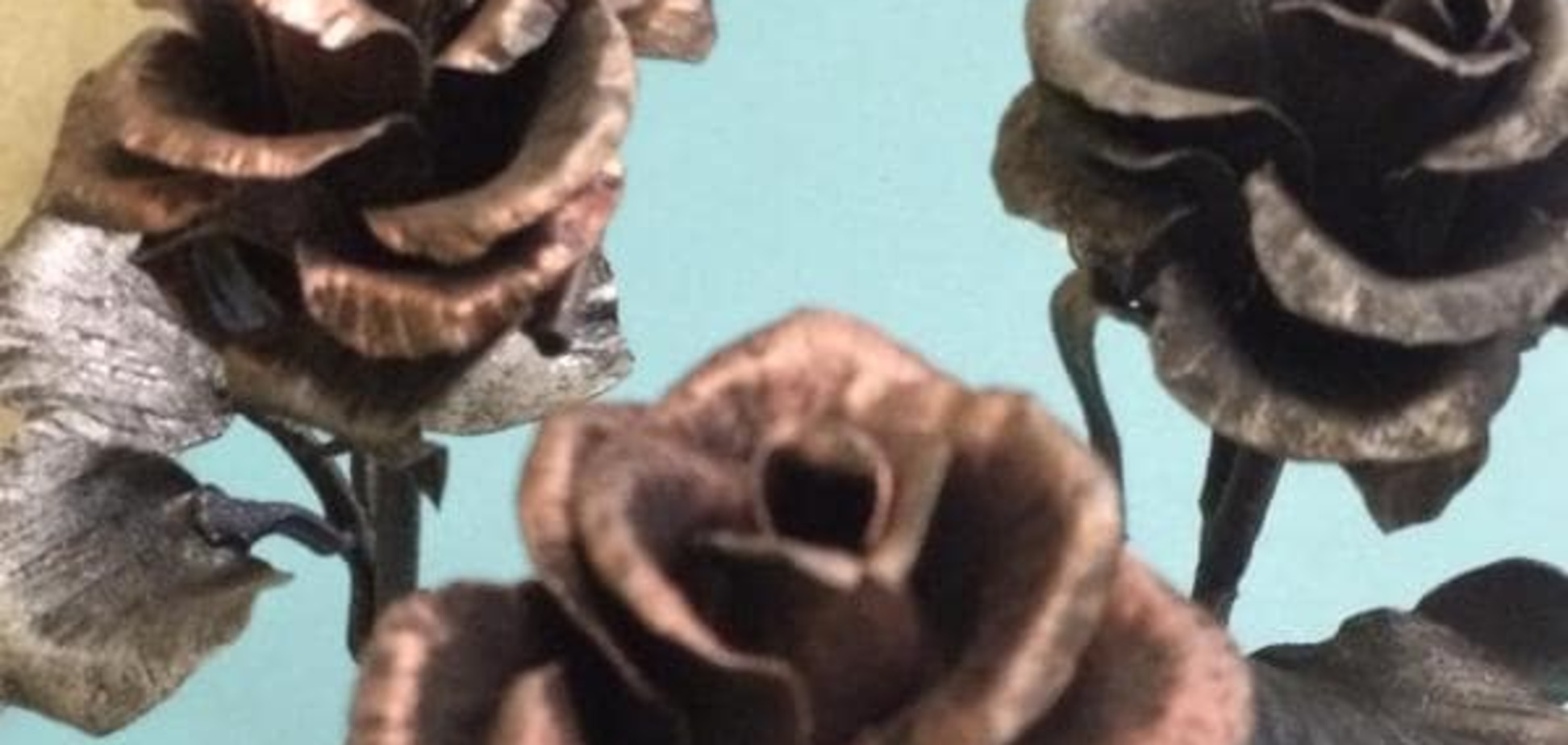 Презент по-донецьки: Лікар Ліза похвалилася трояндами, 'відлитими зі знарядів'. Фотофакт