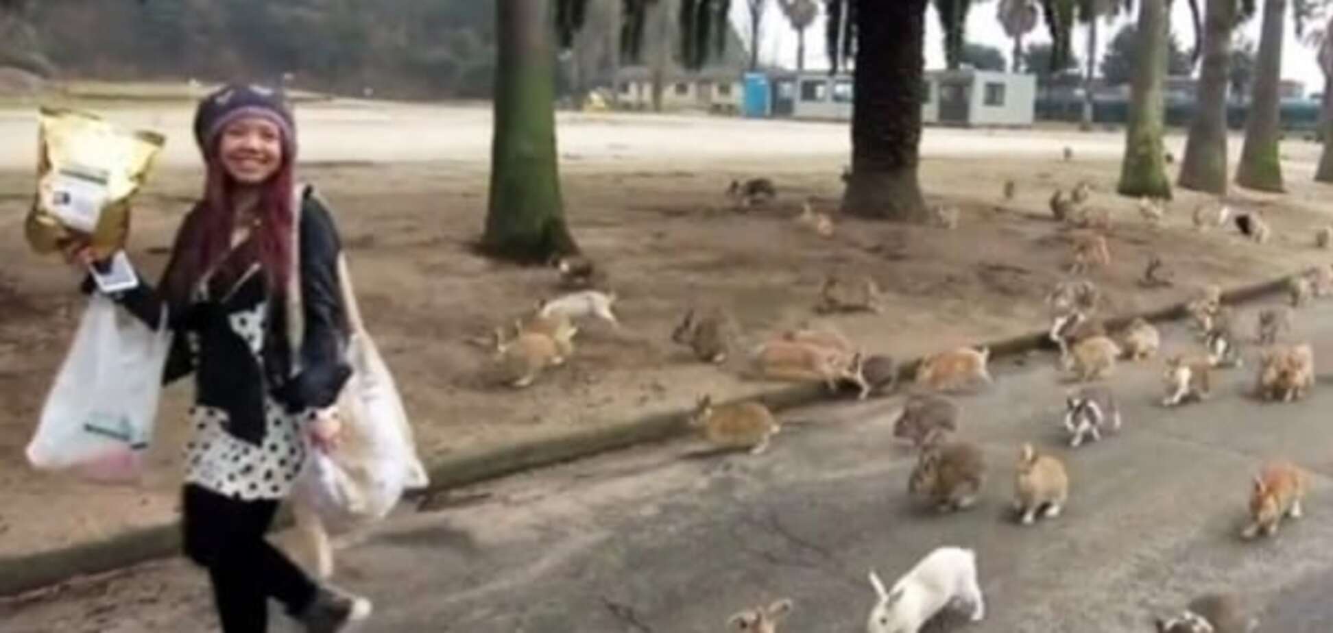 Интернет покорил 'остров кроликов': опубликовано видео