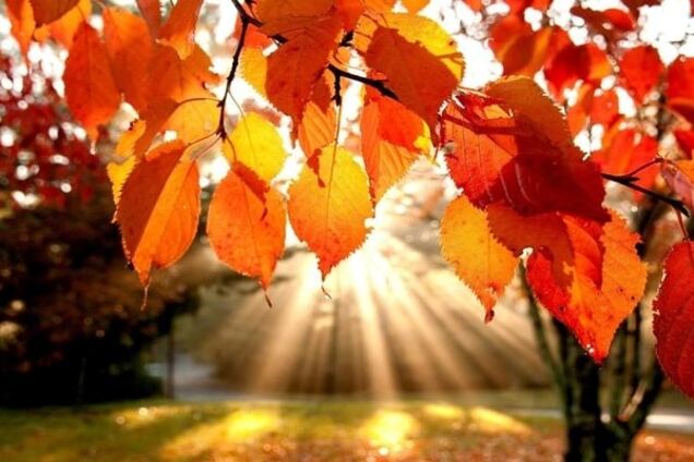 Бабье лето в Киеве назвали самым теплым за 135 лет