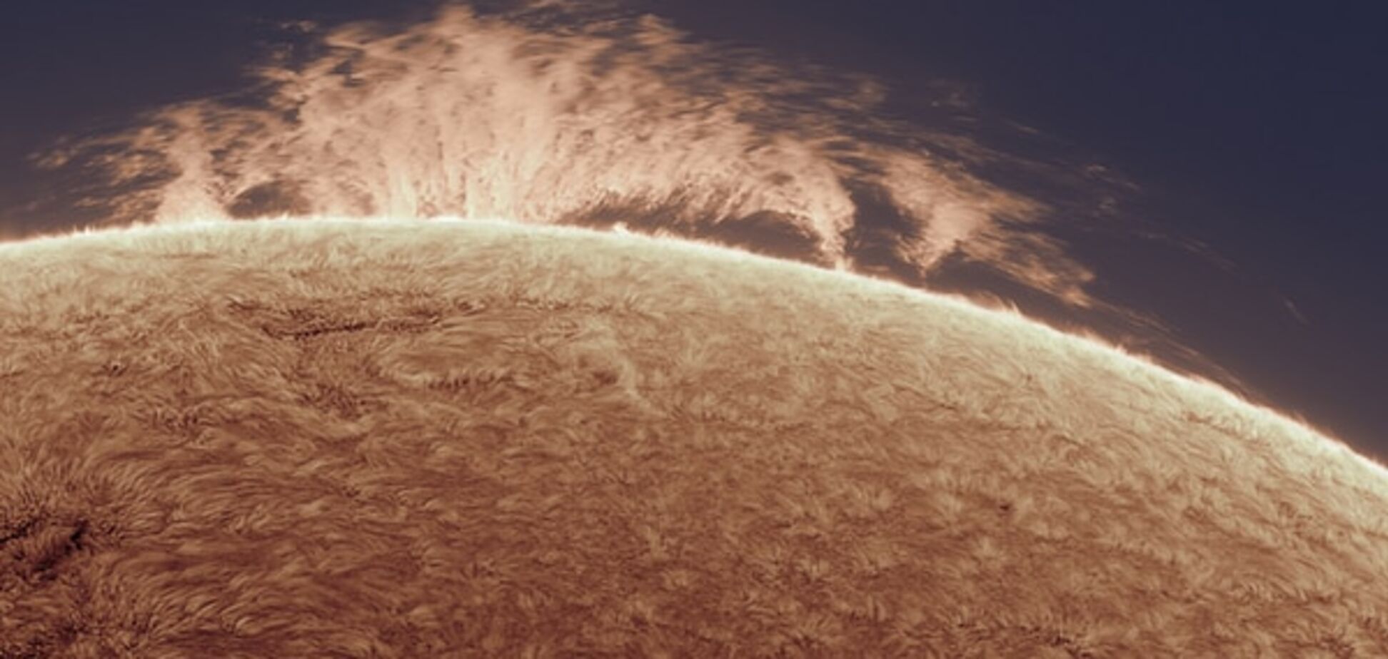 NASA напугало жуткое фото Солнца за 'живой изгородью'