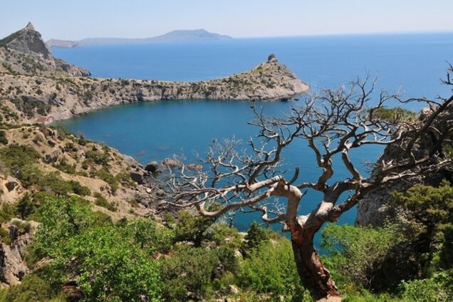 Історія всенародного одобрямсу