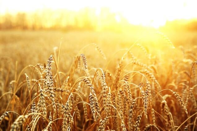 Александр Лавринчук. Между ГПЗКУ и китайской корпорацией