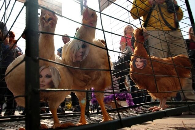 Во Львове 'куриц' Лорак, Повалий и Билык сводили в Оперный театр: опубликованы фото