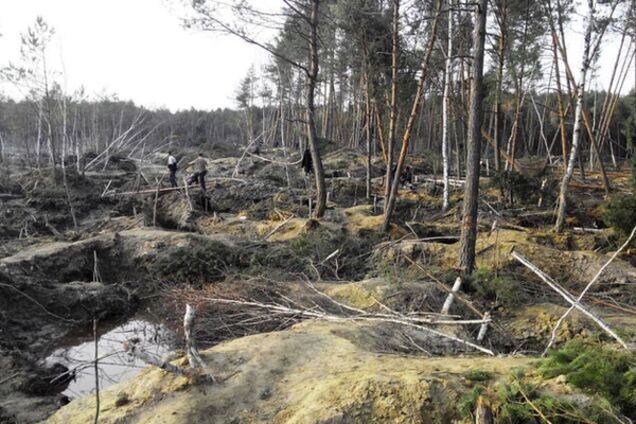 На янтарной войне наживаются чиновники, милиция и криминалитет - активист