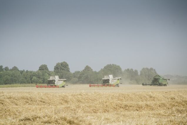 Ни пяди: к чему приведет мораторий на продажу земли от Яценюка