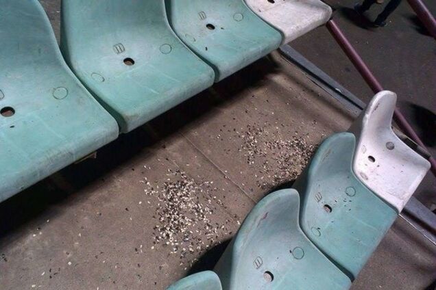 Милиция и фильм ужасов: провал организации матча 'Оболонь' – 'Динамо'