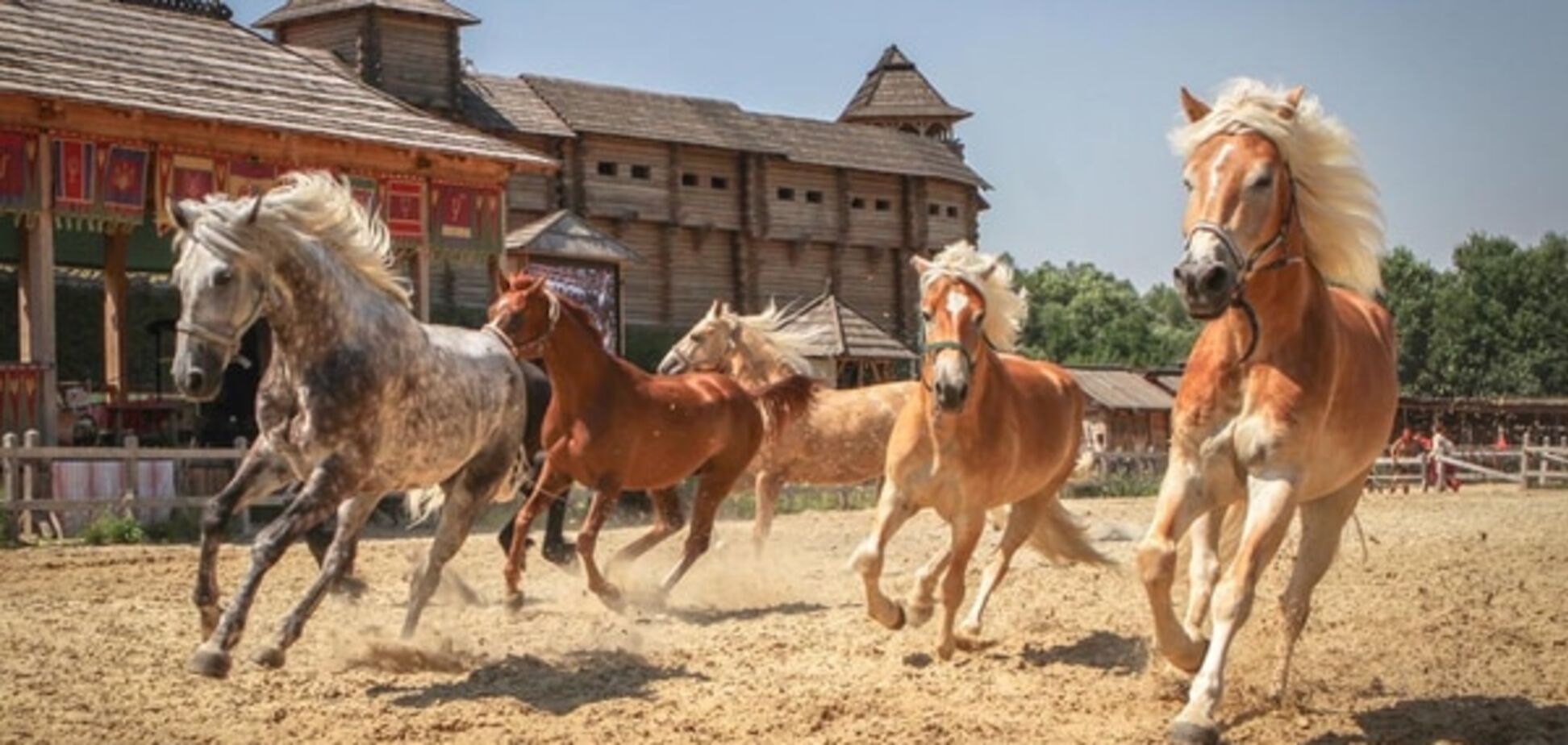 26-27 сентября в 'Парке Киевская Русь' пройдет выставка 'Царство лошадей' и фестиваль самопознания