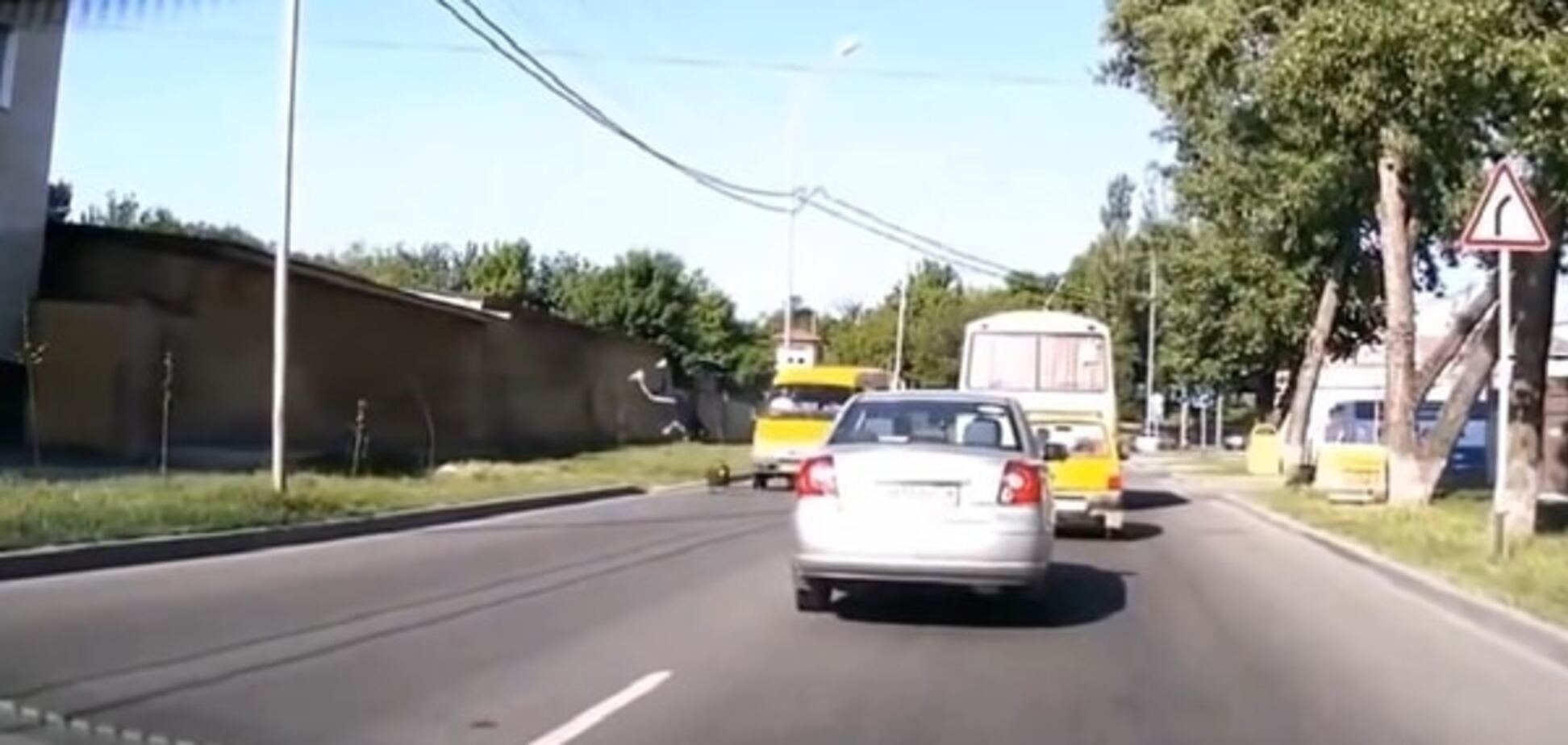 В России собака заставила парня броситься под колеса: видеофакт