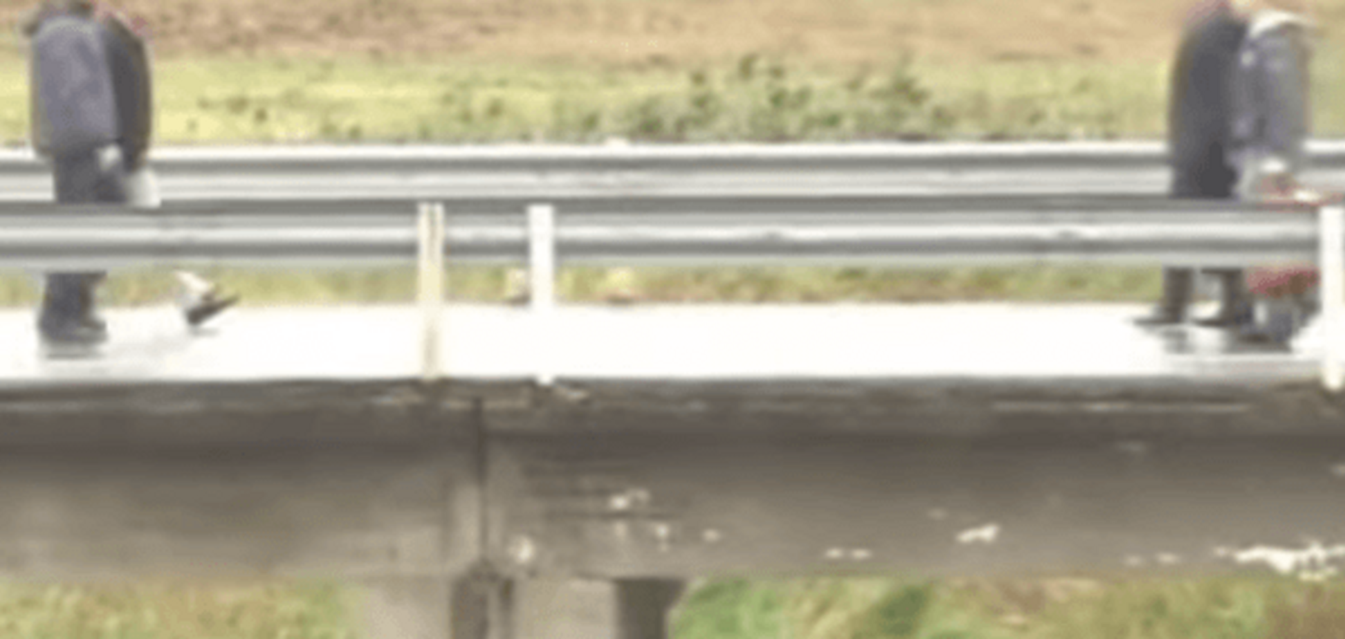 Опубликовали видео обмена 'шпионами' между Россией и Эстонией