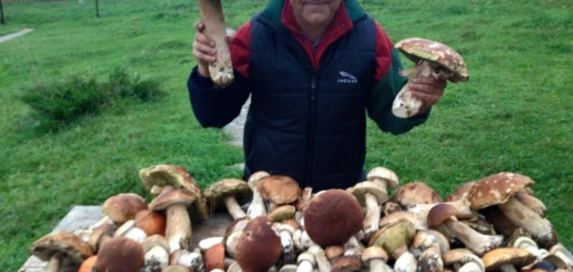 Соцсети взорвали огромные грибы в Карпатах