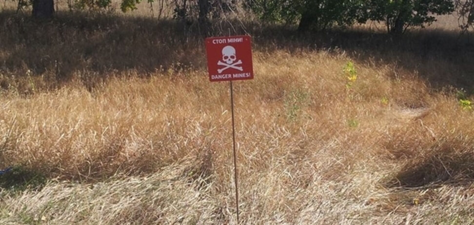 Стоп мины! В зоне АТО начали маркировать заминированные участки