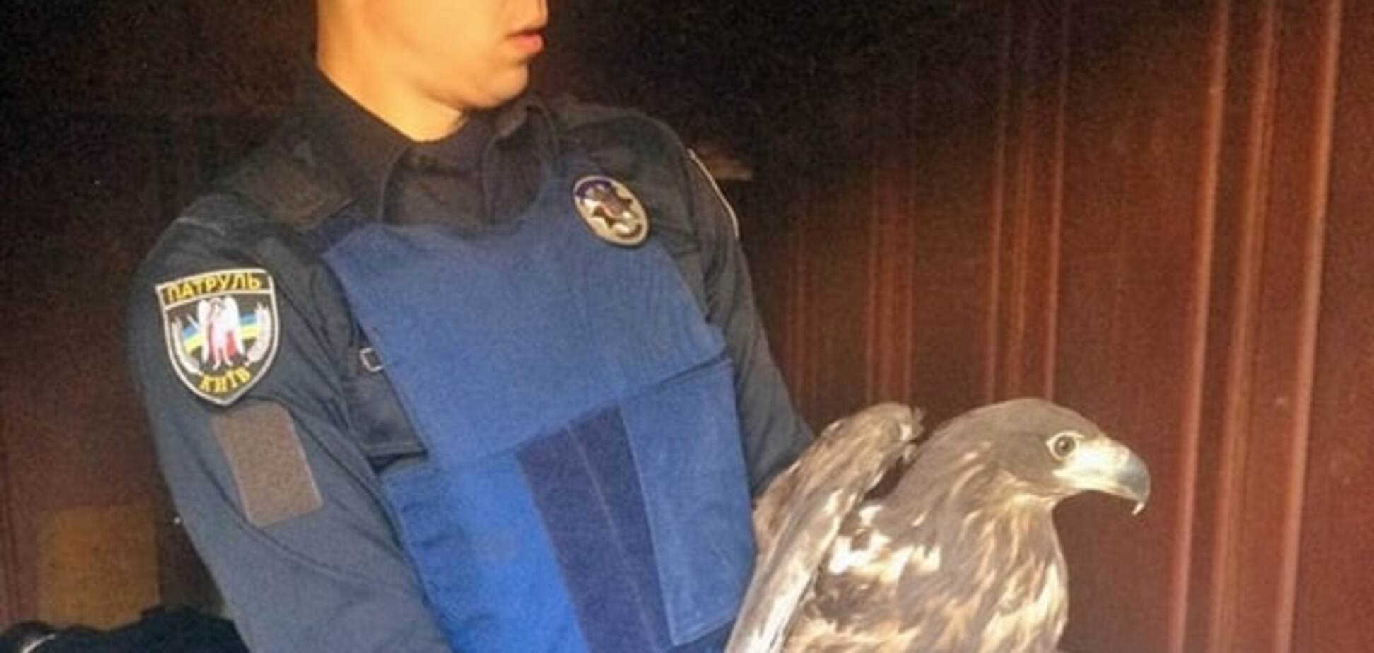 В Киеве полиция спасли из плена трех беркутов: опубликованы фото