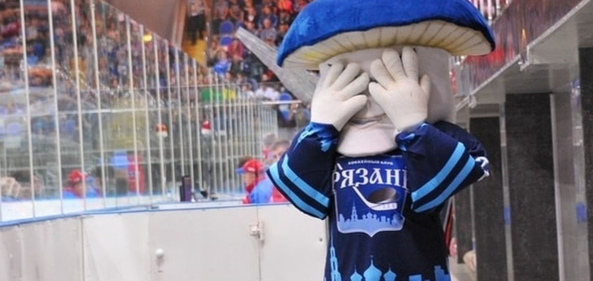 'Грибов объелись?': талисман российской команды взбудоражил соцсети