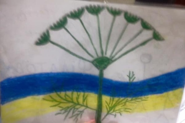 УКРОП выдвинет порядка 10 тысяч кандидатов на местных выборах