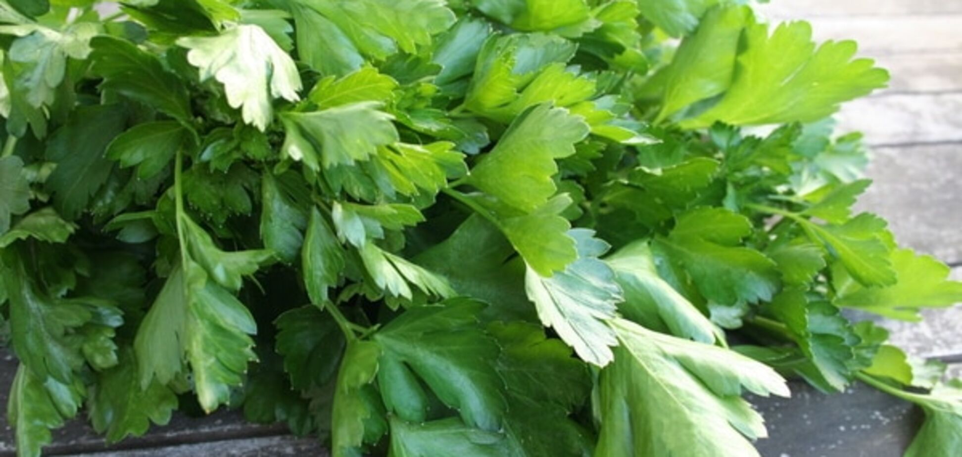 'Смерть силосу!': в России раздавили 18 тонн чешской петрушки