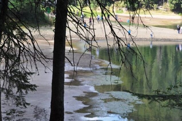 Аномальная жара почти высушила уникальное озеро Синевир: фотофакт