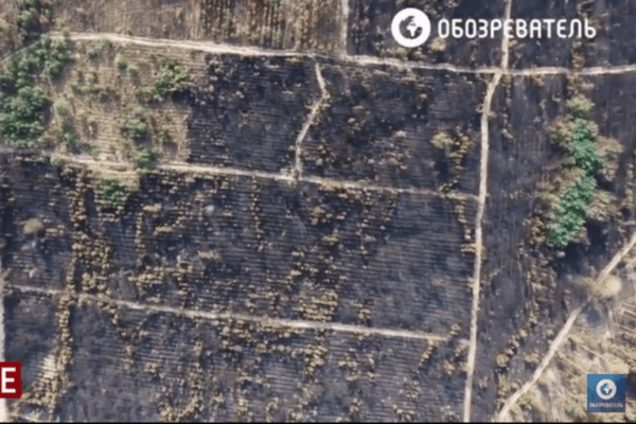 Лесной пожар под Киевом: видео с высоты птичьего полета
