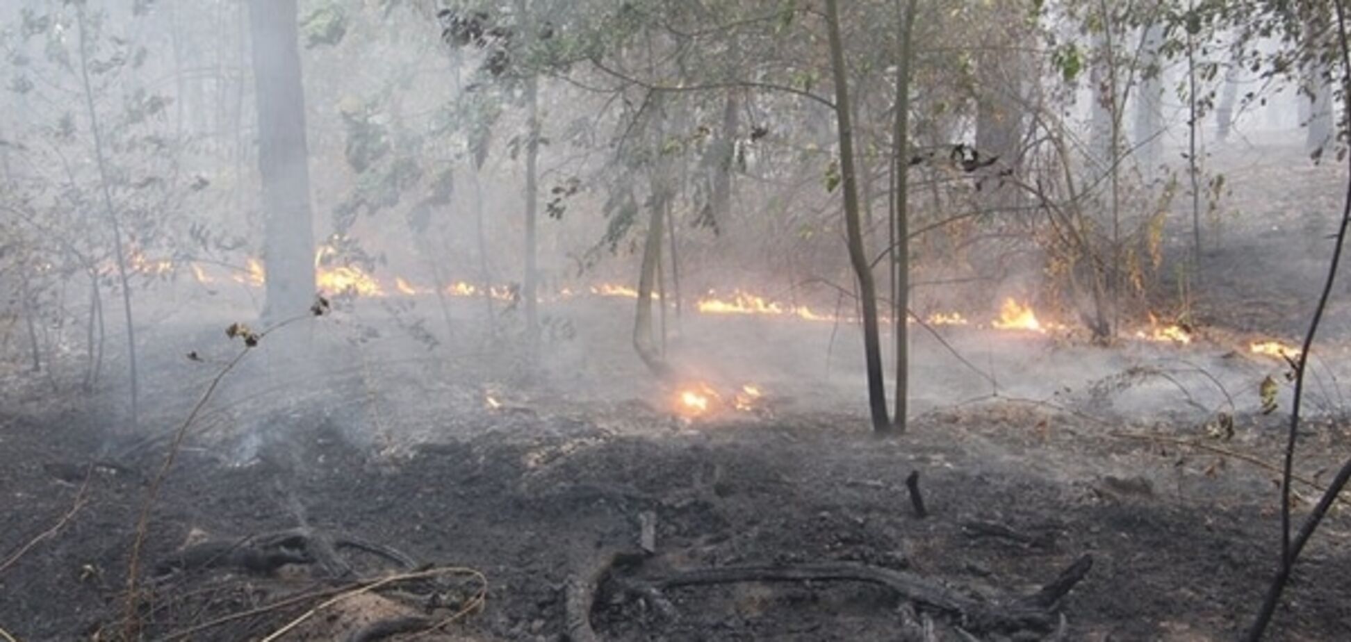 Киевлянам посоветовали не паниковать из-за дыма и пить молоко