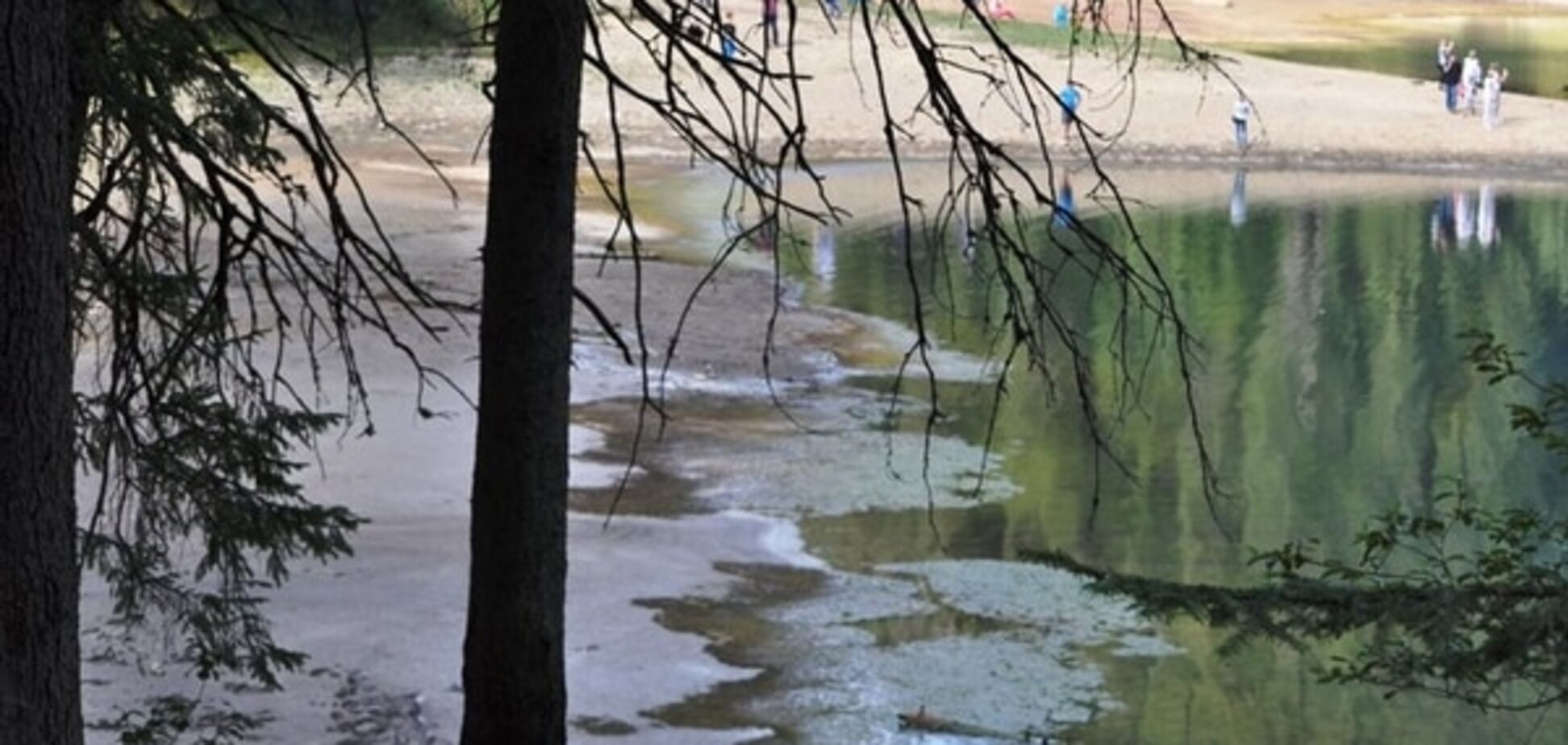 Красивейшему озеру Украины грозит экологическая катастрофа: фотофакт