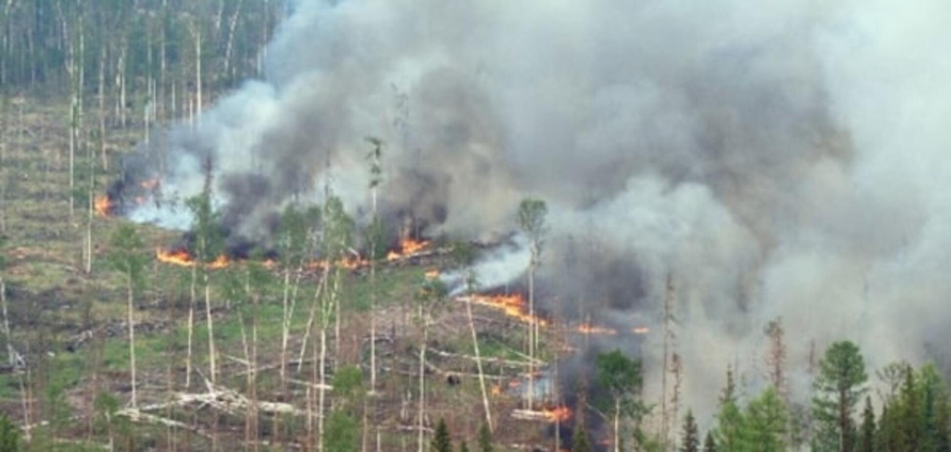 Пожежі під Києвом будуть гасити не один день