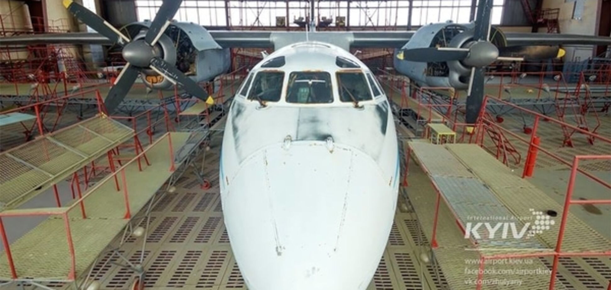 В Киеве установят единственный в мире самолет, разрисованный вручную