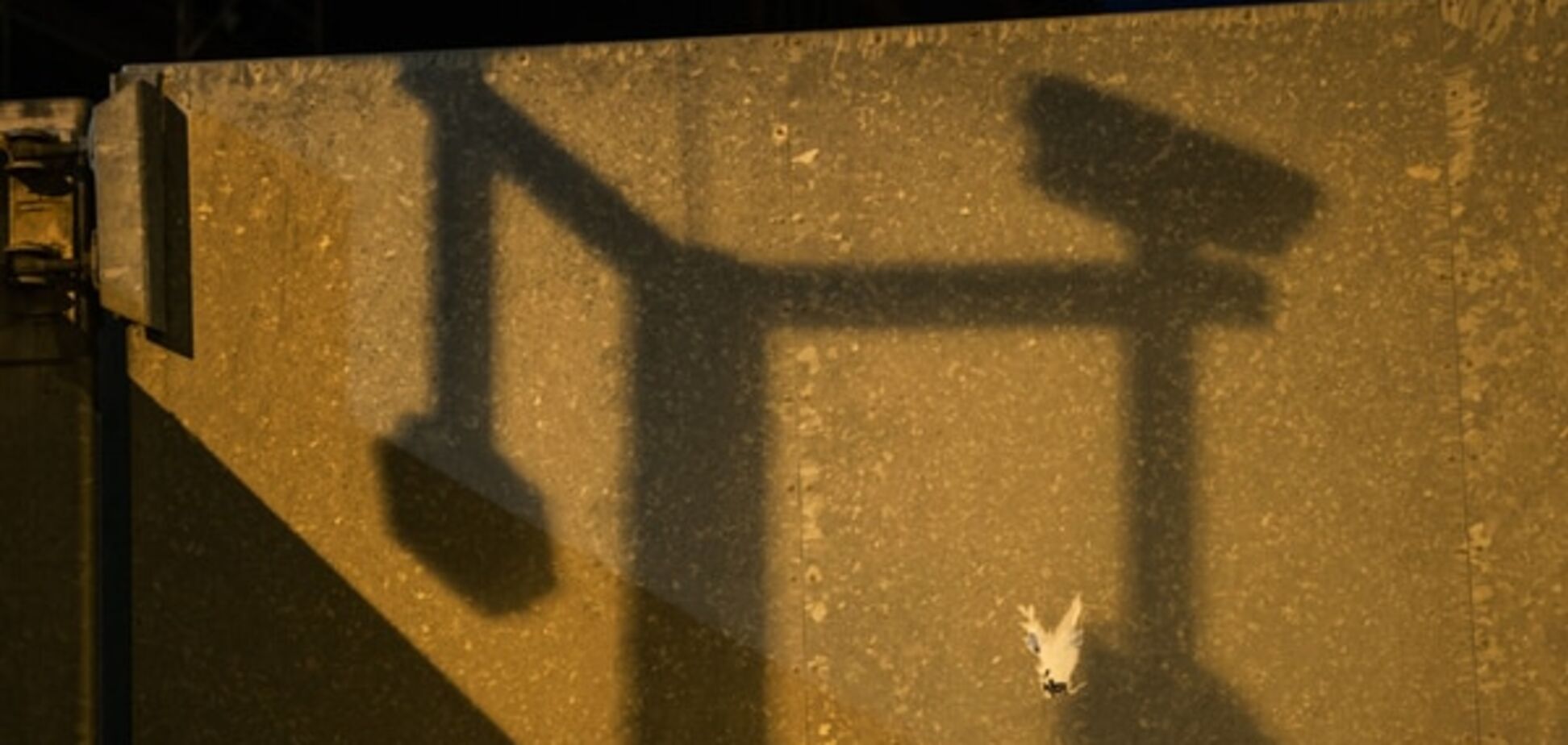 Россию обвинили в создании новой международной сети своих агентов