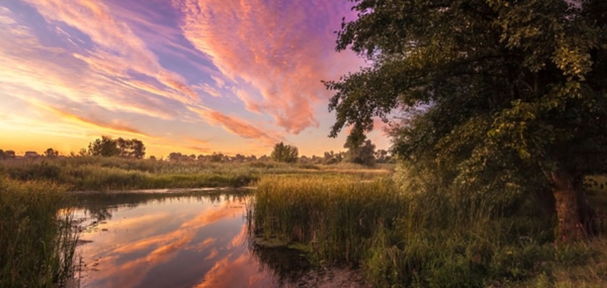 25 незабываемых пейзажей прошедшего украинского лета: красочные фото