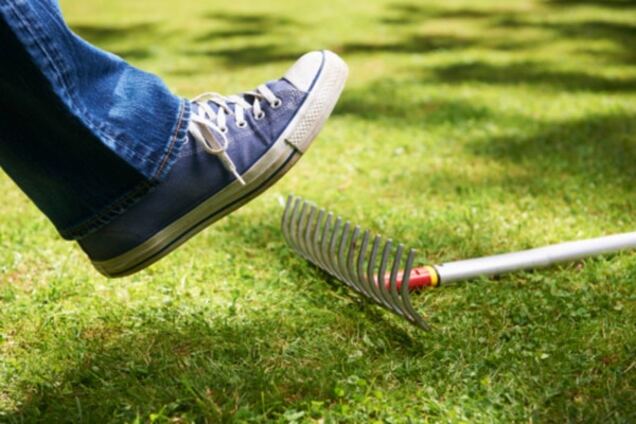 Россия - не Украина. И точка!