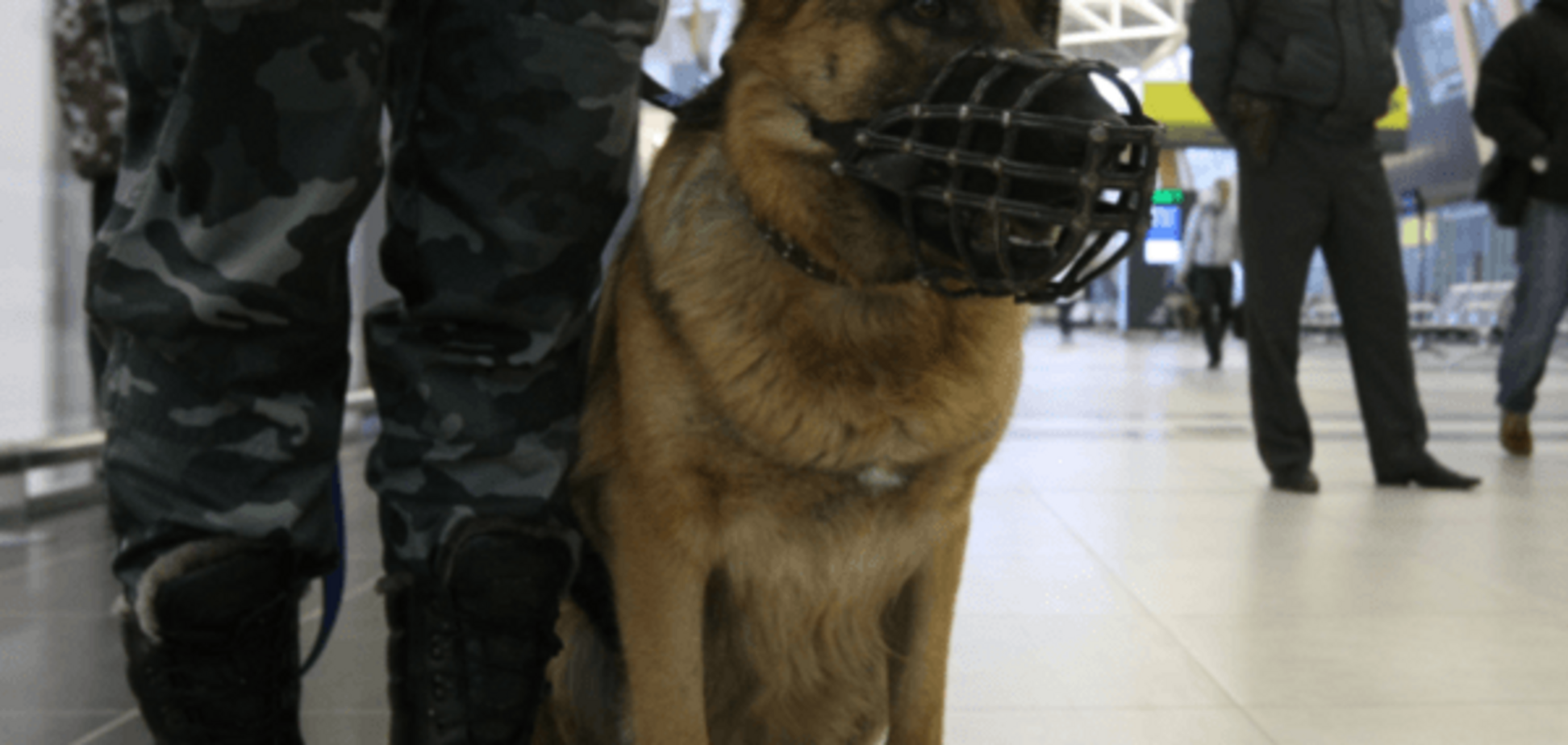 В Москве из-за угрозы взрыва на вокзалах эвакуировали 1,5 тыс. человек