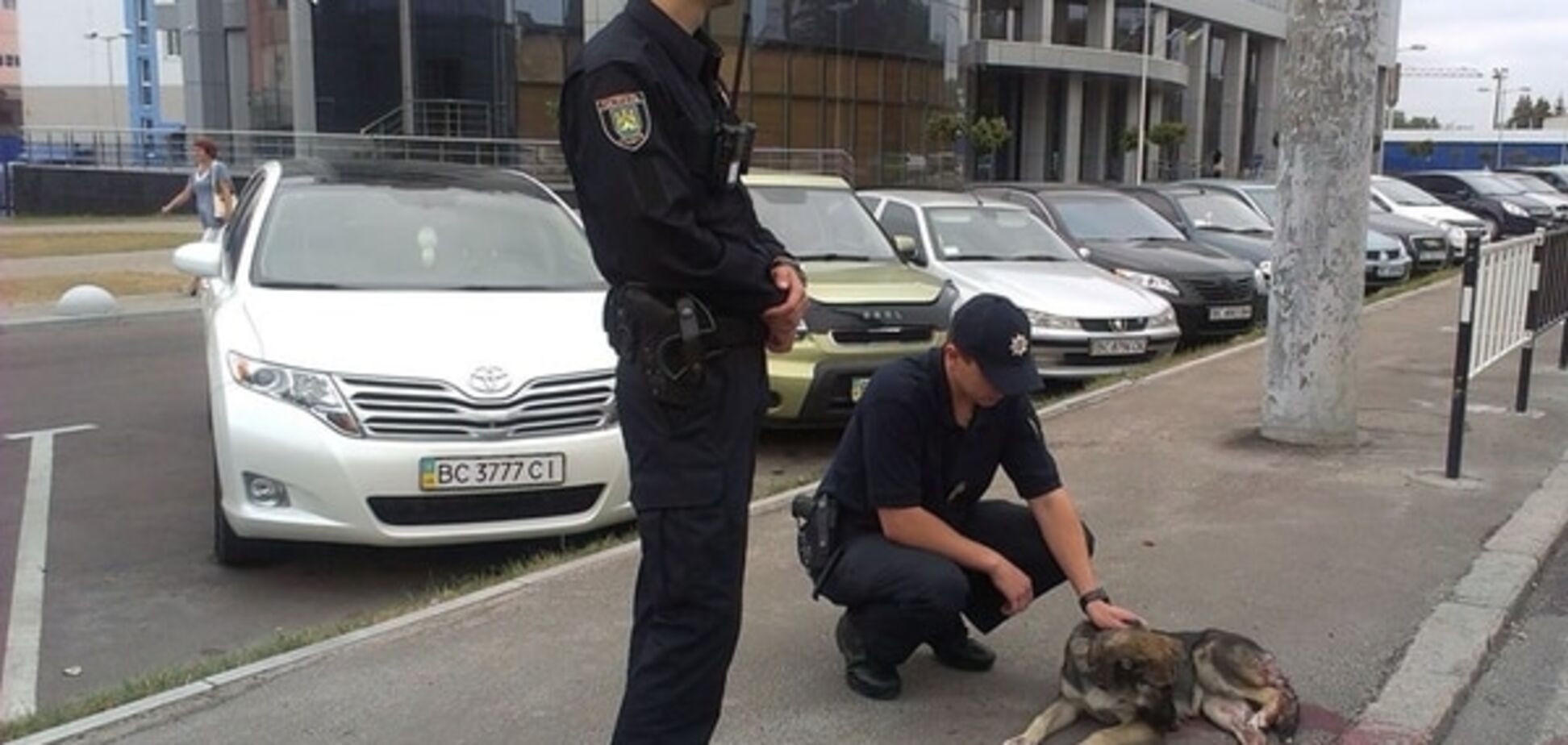 Милосердие в действии: во Львове полицейские спасали сбитую собаку. Фотофакт 