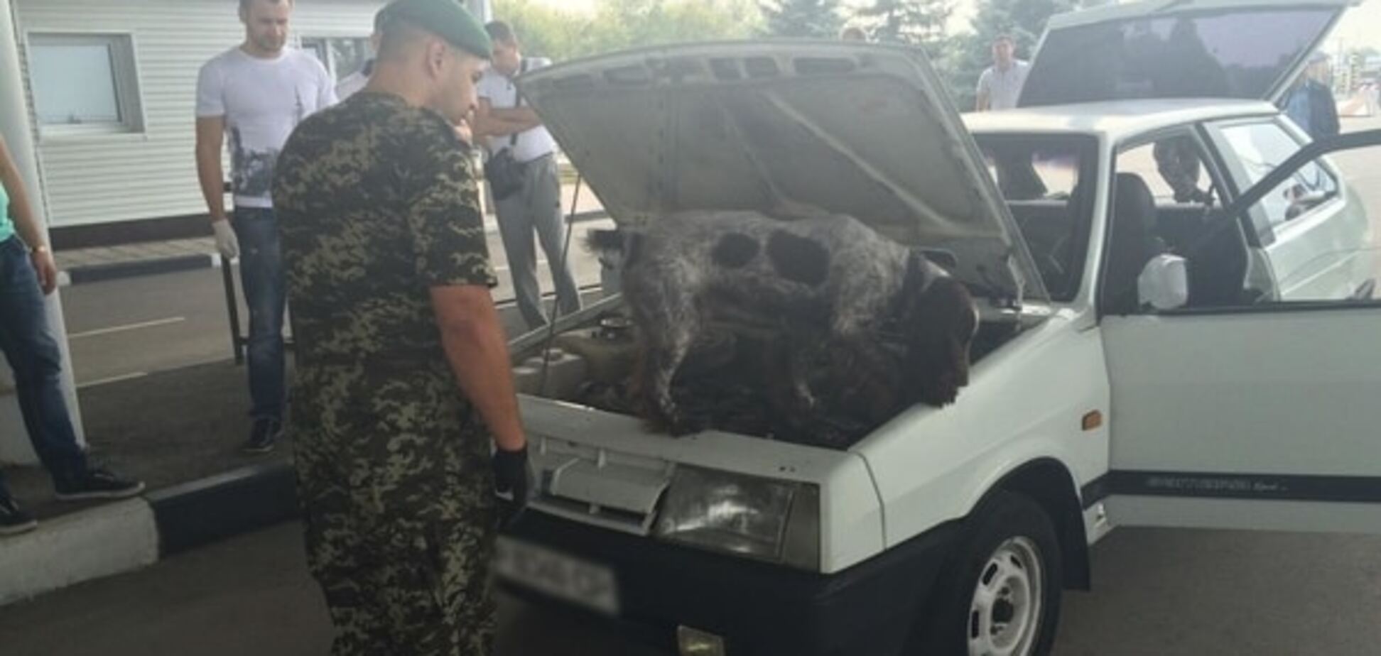 Не пустили наркотик в Россию: собака-пограничник унюхала 12 кг марихуаны в автомобиле. Фоторепортаж