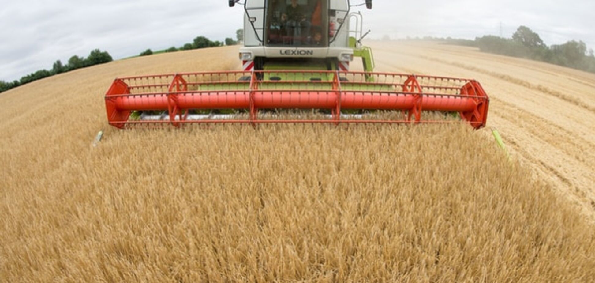 Прогноз погоды: как зима повлияет на урожай