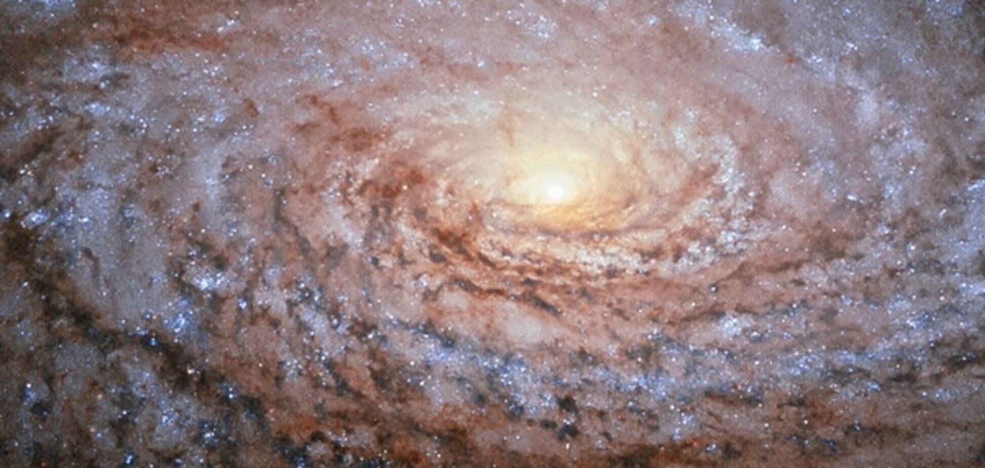 NASA обнаружило уникальную галактику Подсолнух: фотофакт