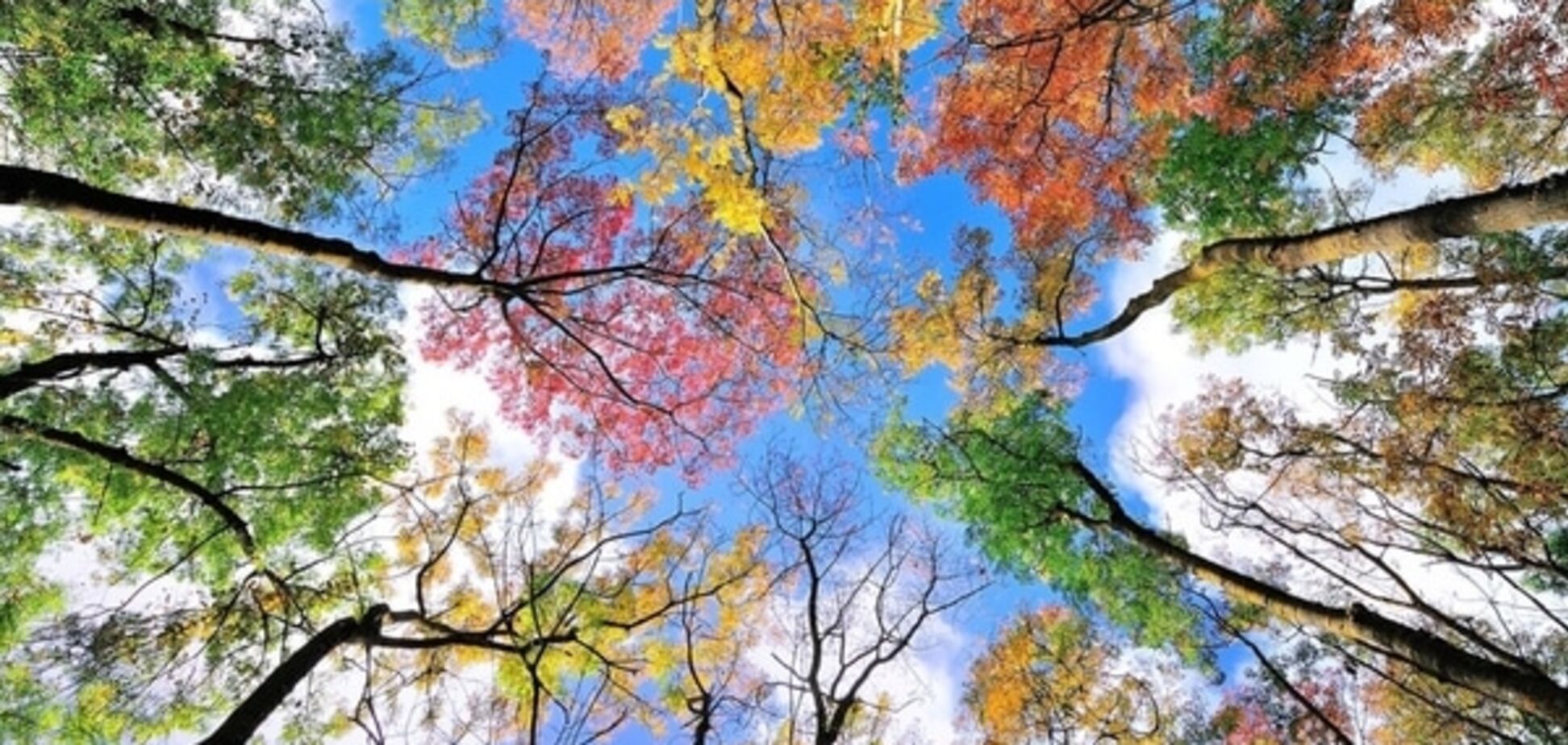 20 фото, доказывающих, что осень - невероятно прекрасная пора