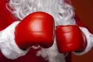 Новый боксерский год