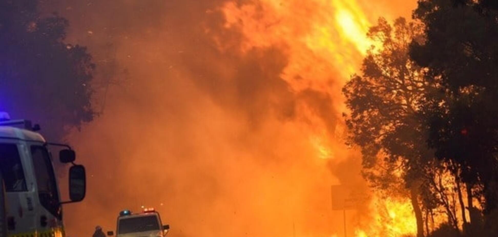 В Австралии бушуют лесные пожары: есть жертвы, людей массово эвакуируют