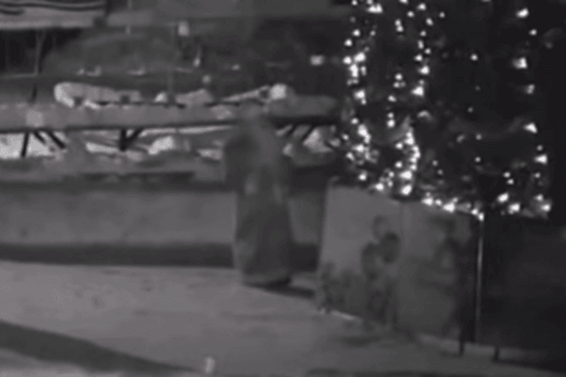 Похититель Рождества по-русски: в Верхней Туре 'Дед Мороз' украл игрушки с елки