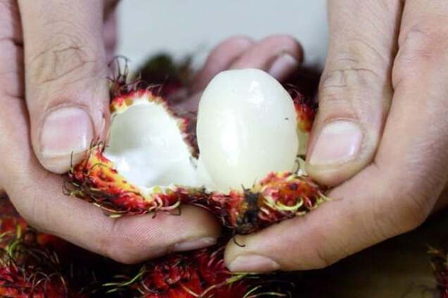 Каштан с райских островов: экзотический фрукт рамбутан