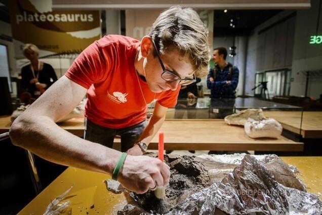 Названі 20 наукових фактів, які багатьом здаються обманом