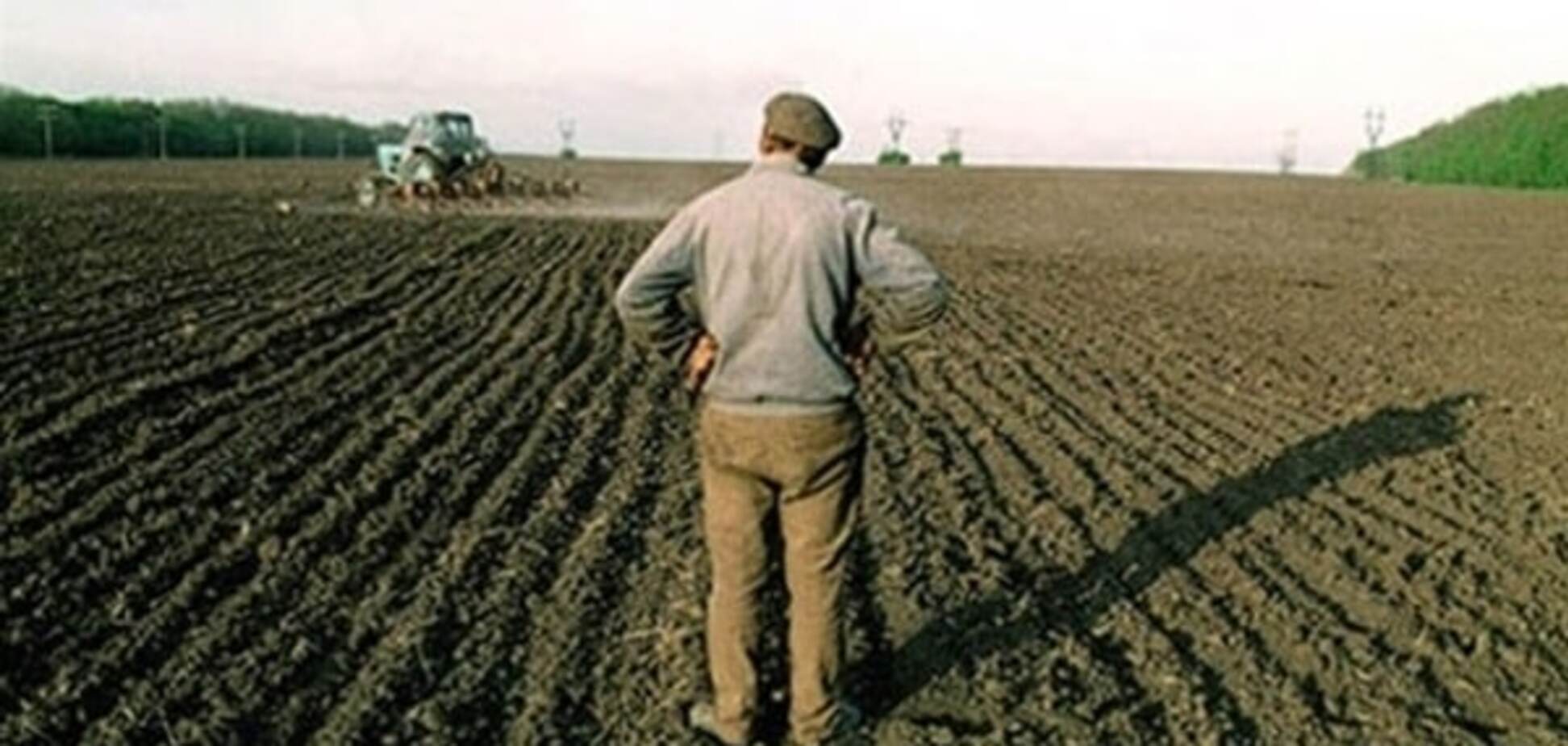Агрохолдинги Росії із зернових і картоплі перейдуть на коноплю: лист бізнесу владі
